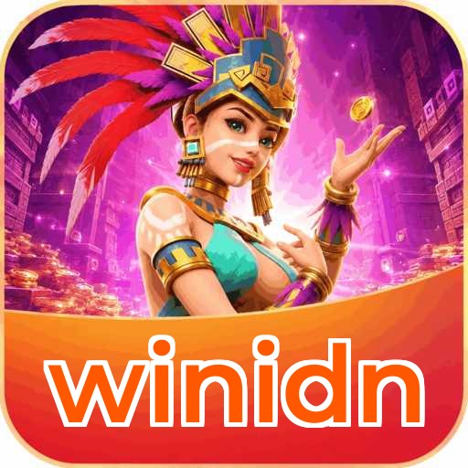 winidn APK Structure