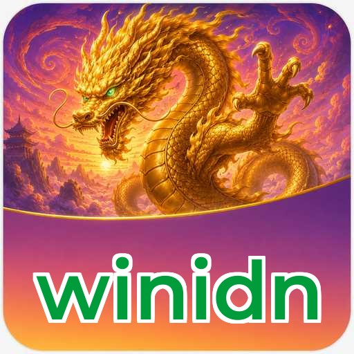 winidn APK Structure