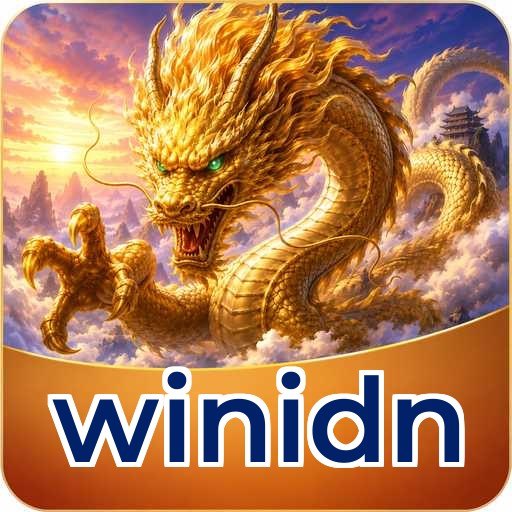 winidn APK Structure