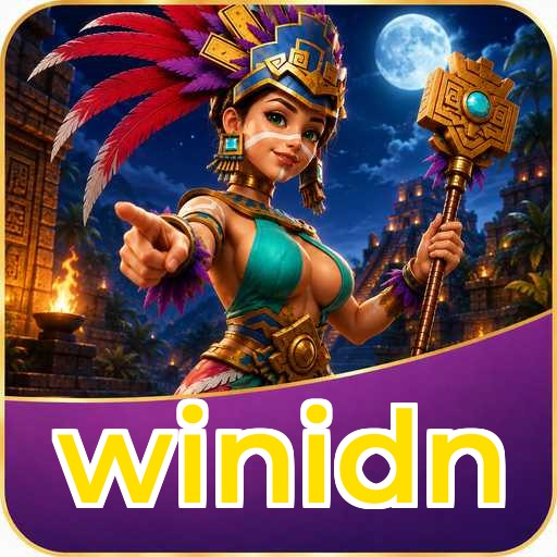 winidn Features