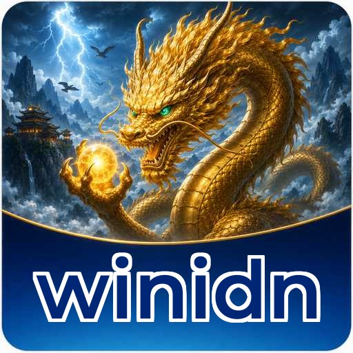 winidn Technical Info