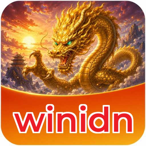 winidn APK Structure