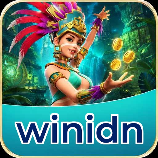 winidn APK Structure