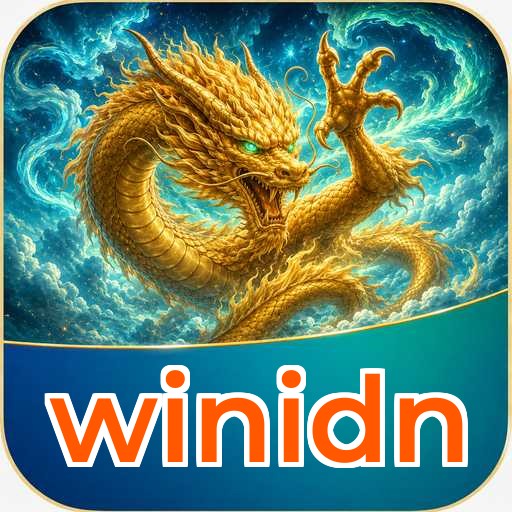 winidn Download